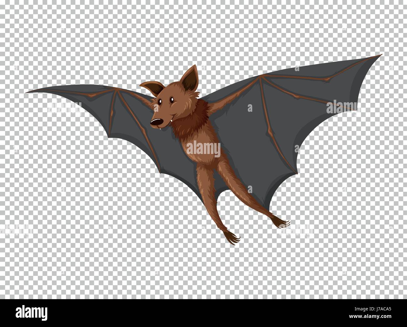 Wild bat flying on transparent background illustration Stock Vector ...