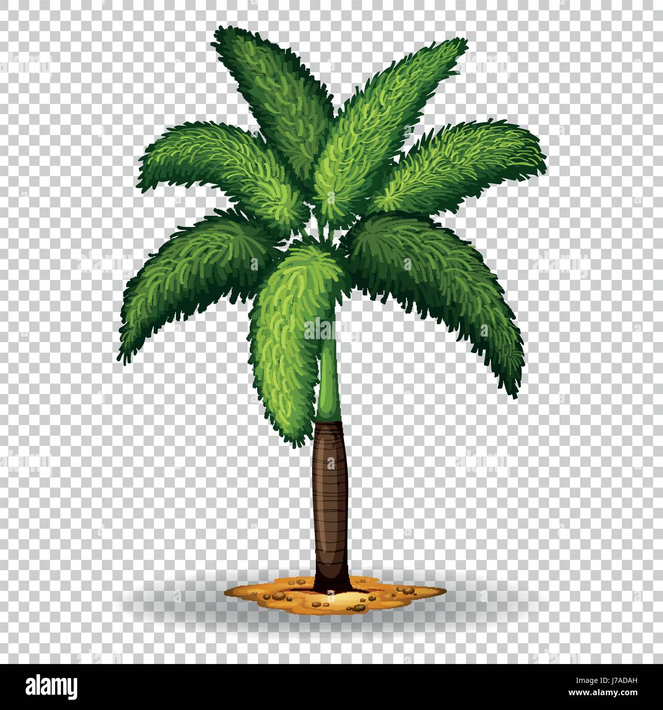 Palm tree on transparent background illustration Stock Vector Image ...