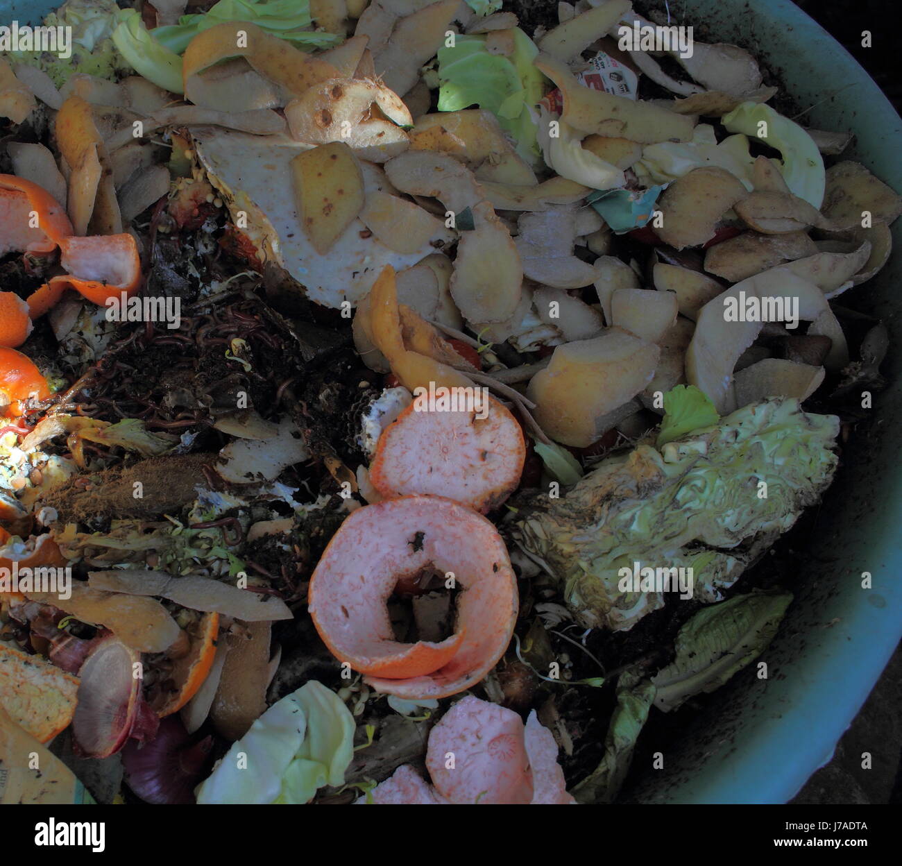 Recycling kitchen waste in an earthworm farm to make compost for