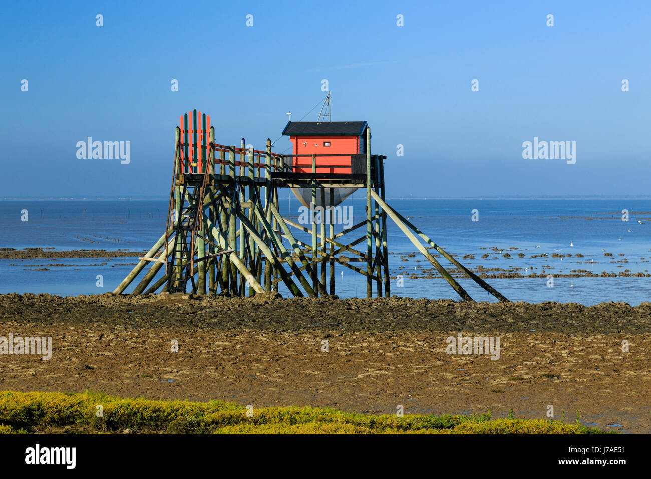 France, Charente Maritime, Port des Barques, Madame island, shore operated lift net at low tide Stock Photo