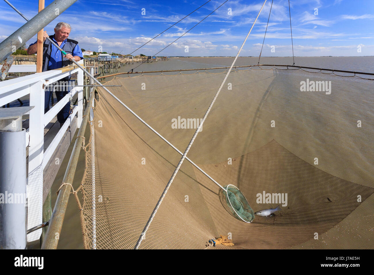 France, Charente Maritime, Port des Barques, fishing with shore-operated lift net or carrelet Stock Photo