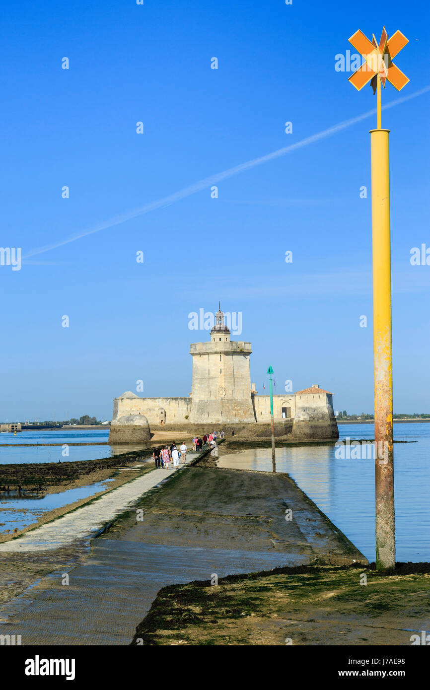 France, Charente Maritime, Bourcefranc le Chapus, Fort Louvois or Fort Chapus Stock Photo