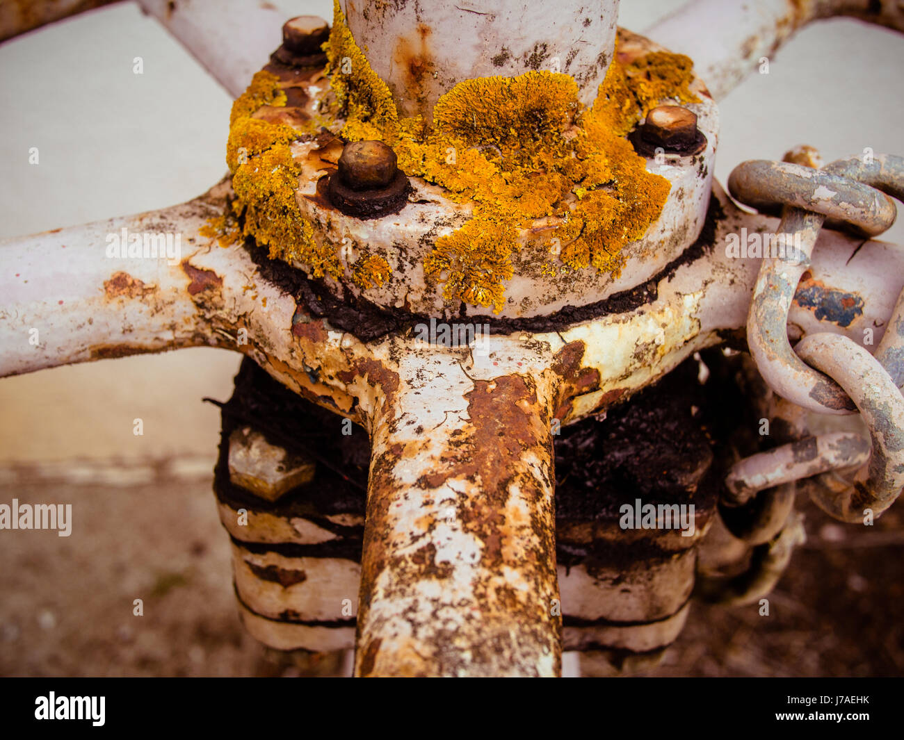 Moss On Metal Showing Signs Of Decay Stock Photo Alamy
