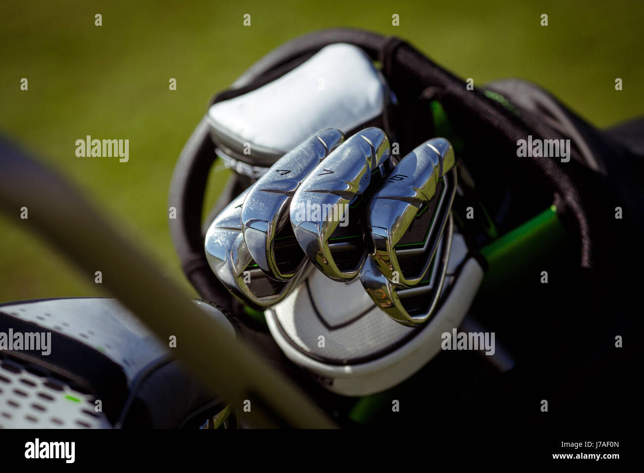 Golf clubs in bag Stock Photo
