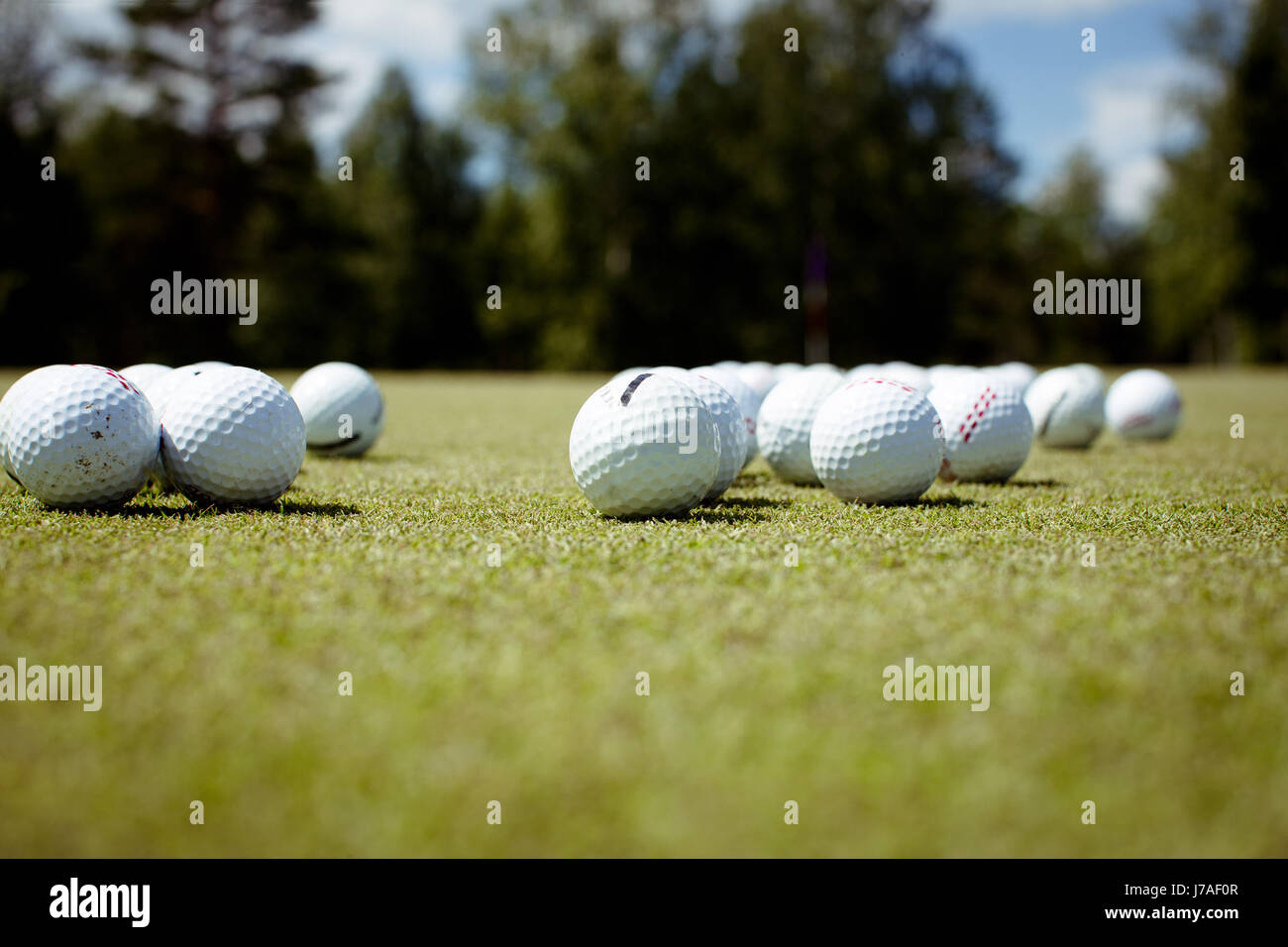Golf balls on lawn Stock Photo Alamy