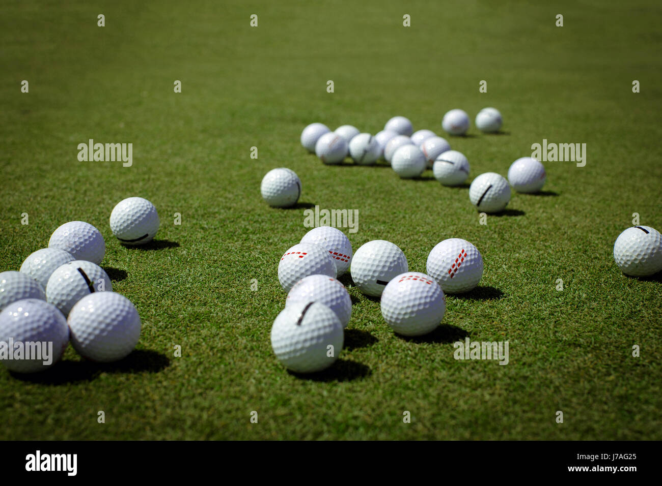 Golf balls on lawn Stock Photo Alamy