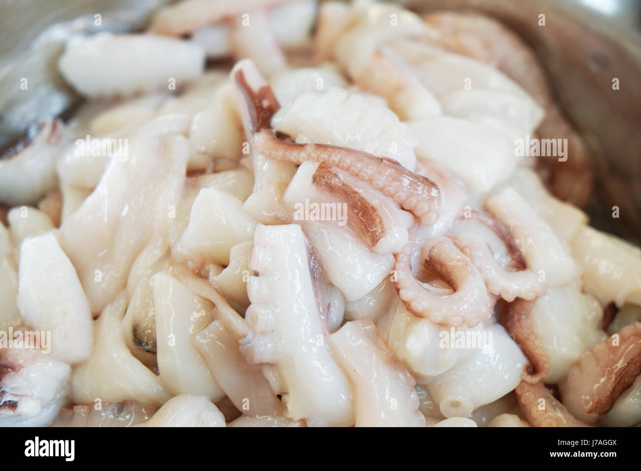 Raw Calamari High Resolution Stock Photography And Images Alamy Raw Calamari High Resolution Stock Photography And Images Alamy