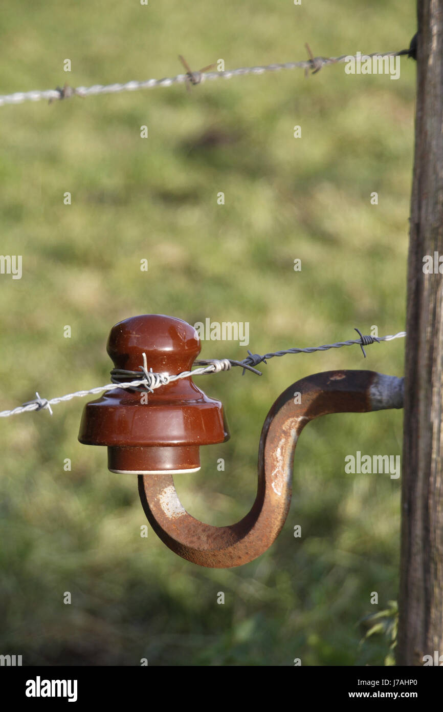 electric fence around a pasture Stock Photo