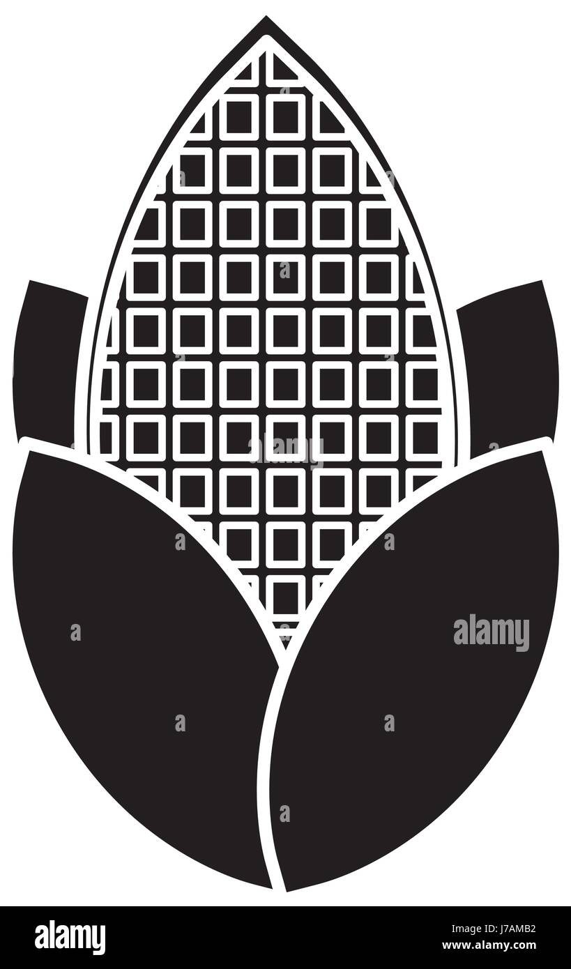 corn vegetable icon Stock Vector Image & Art - Alamy