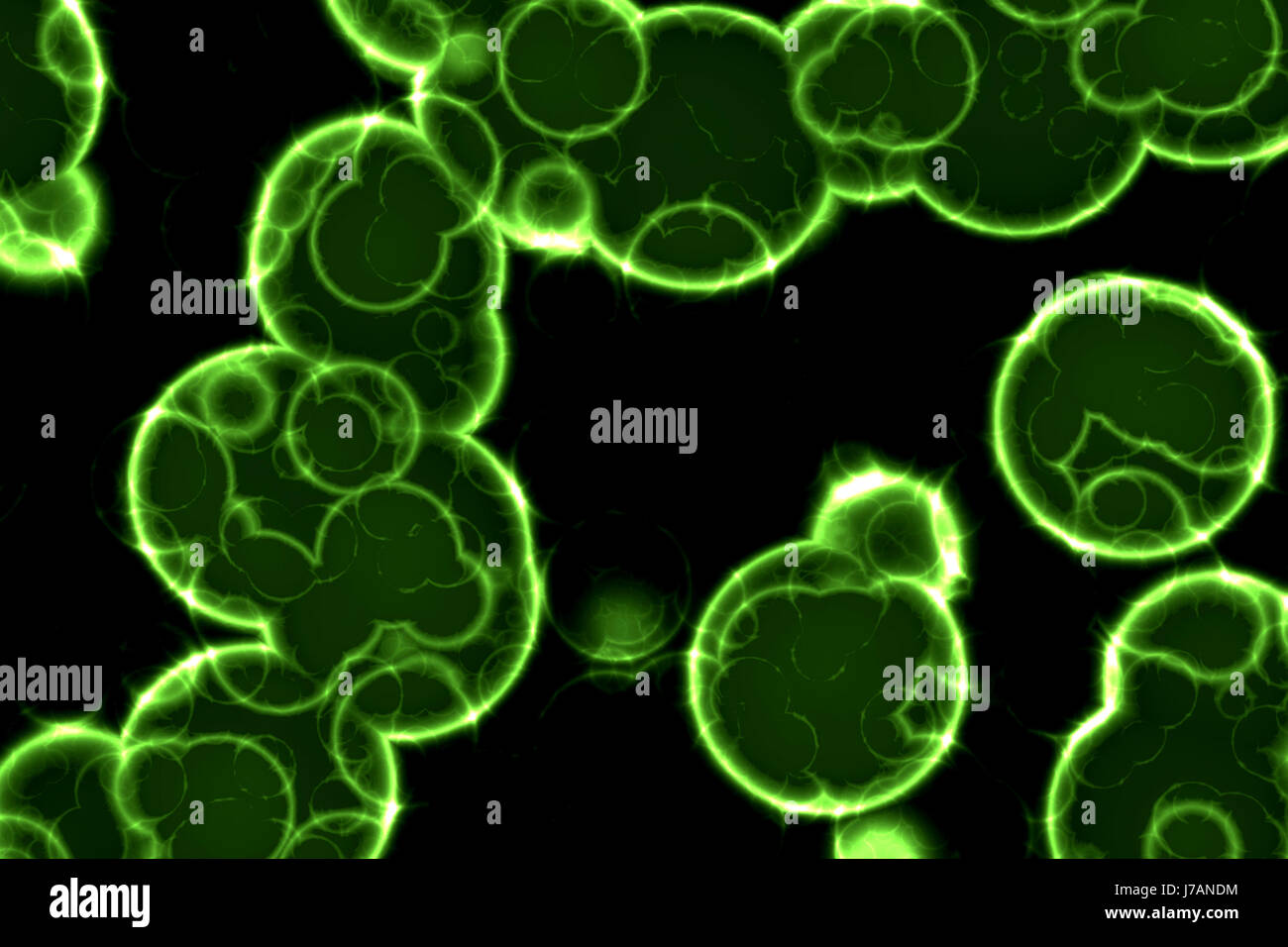 colour closeup science cell botanical color bright change plant ...