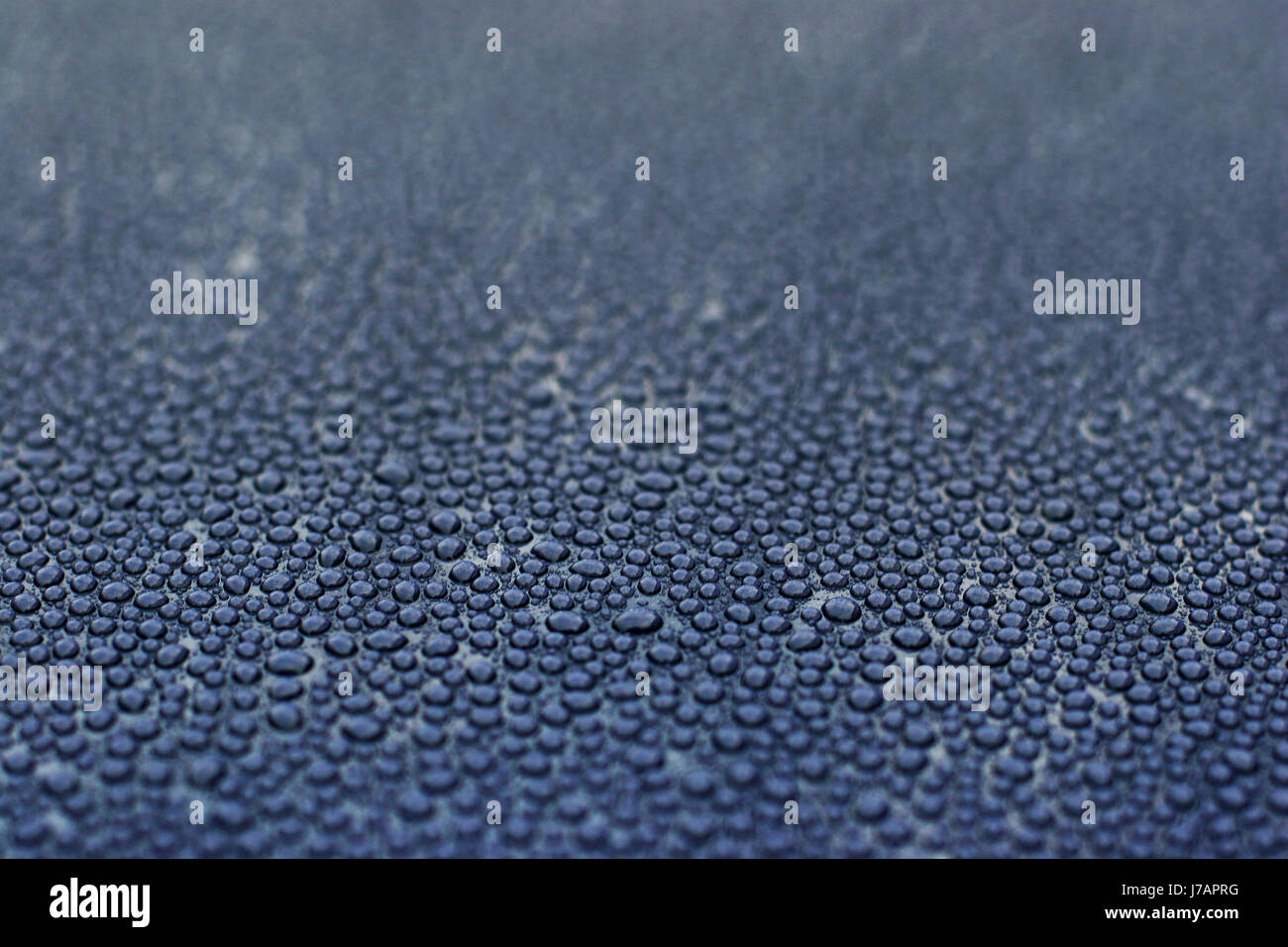 Water Dew Pattern drop dew pattern backdrop background water drip drops seeping sopping ...