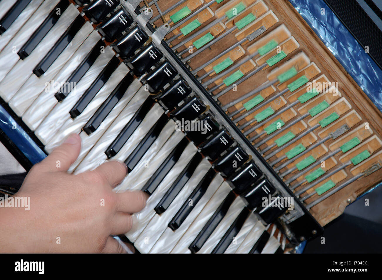 party celebration accordion harmonica measure instrument method hand finger Stock Photo