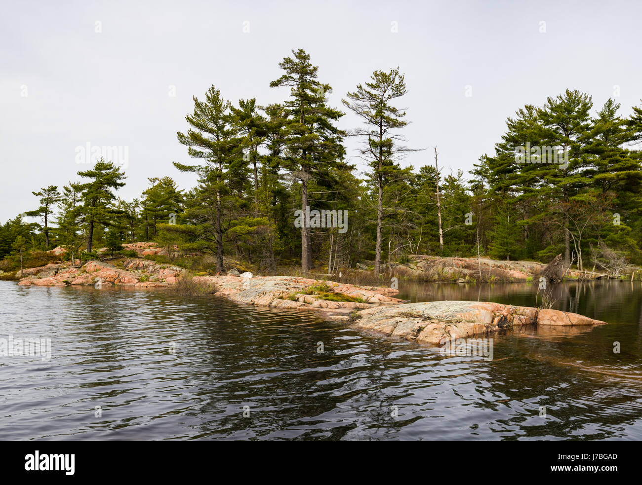 A small forest and lake in Killarney Provincial Park, Ontario, Canada Stock Photo