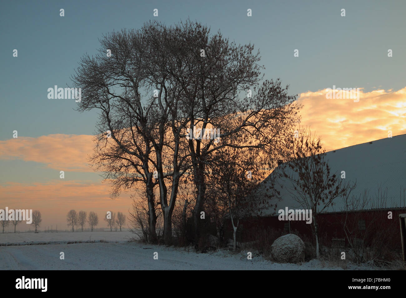 winter evening Stock Photo