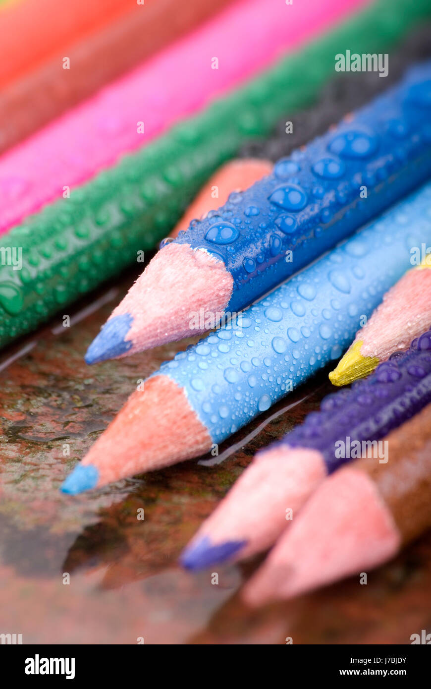 Wet pen hires stock photography and images Alamy
