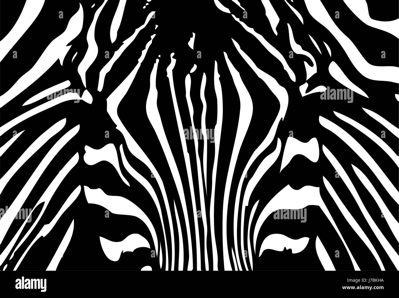 Zebra Zeichnen