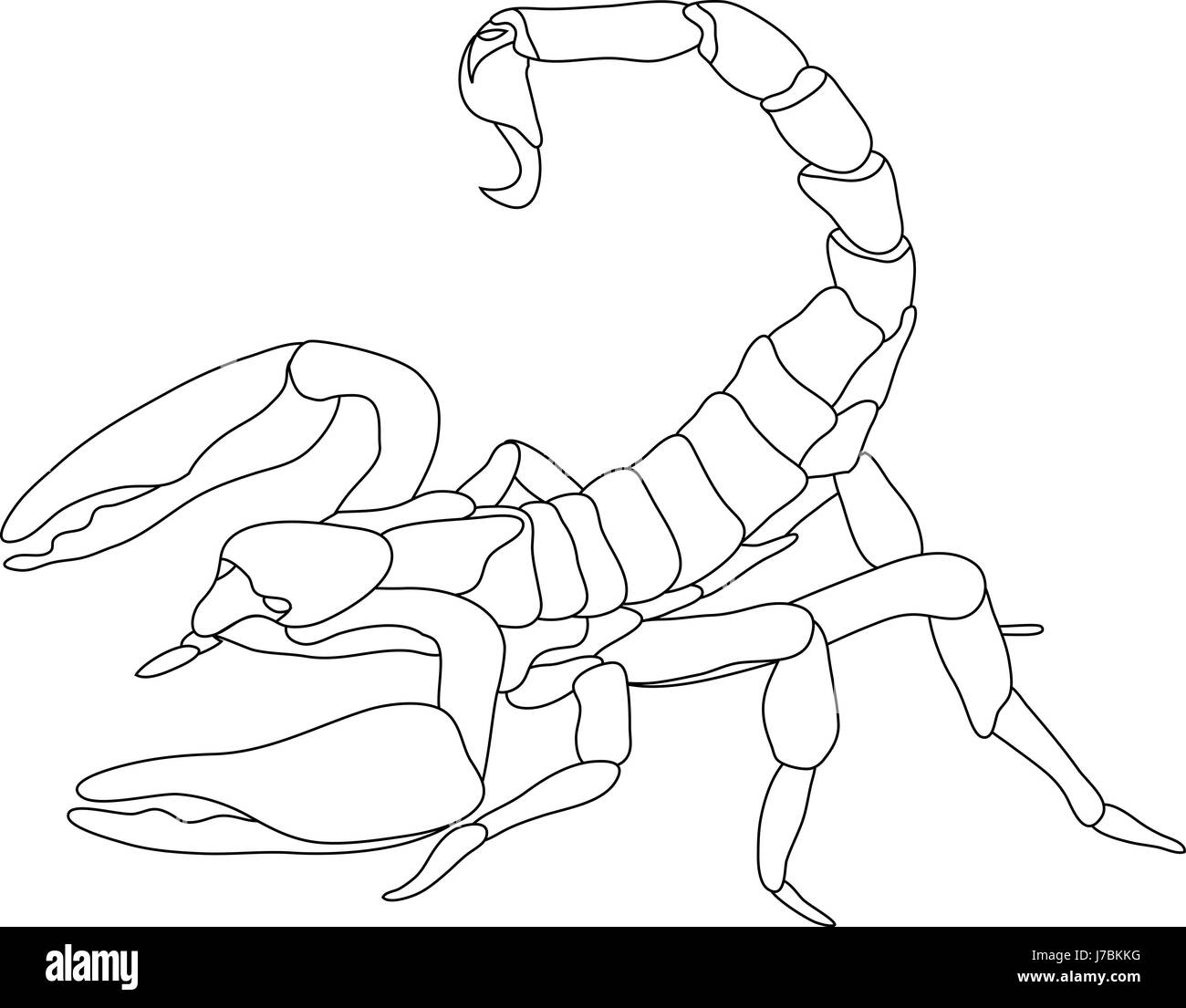 Рисунки на тему: Скорпион
