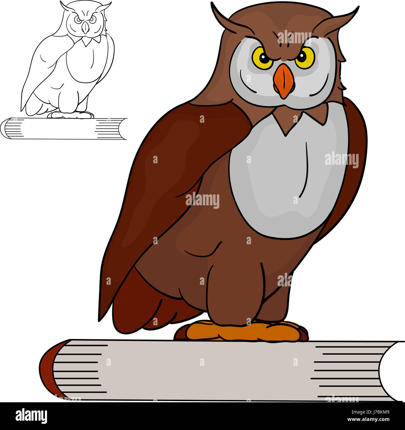 isolated illustration draw cartoon isolated colour graphic animal bird wild  Stock Photo - Alamy