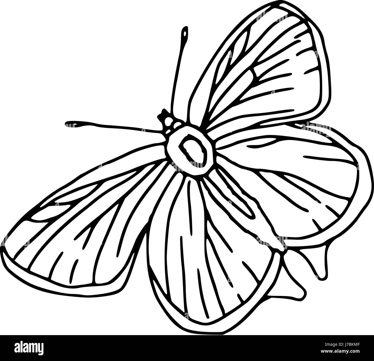 isolated illustration cartoon draw blue beautiful beauteously nice art