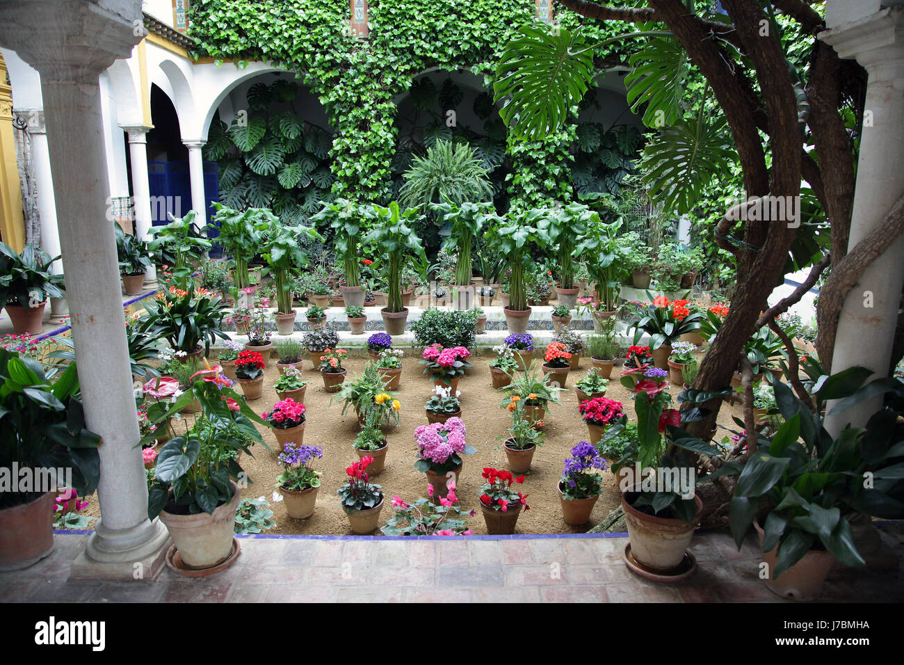 seville barrio de santa cruz garden with flowers spain Stock Photo