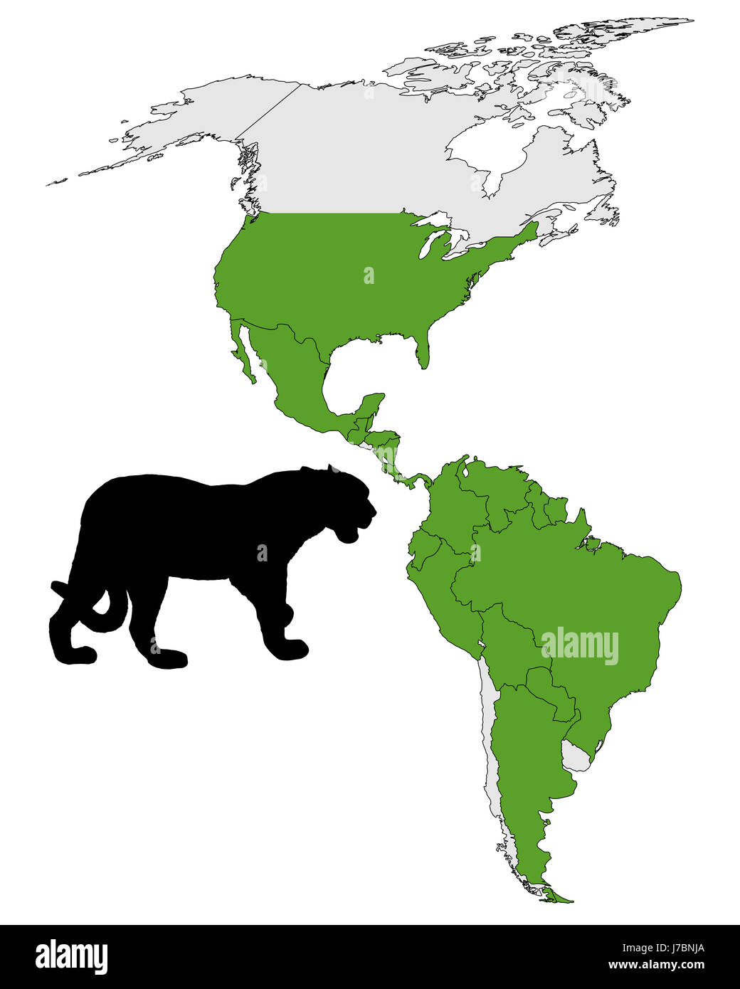 south america jaguaro spread occur optional colour animal green fauna big cat Stock Photo