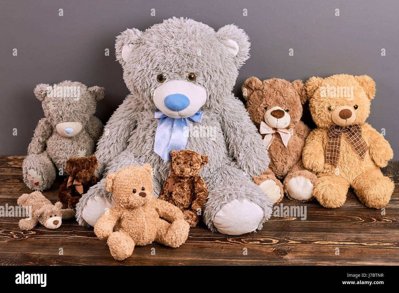 teddys online
