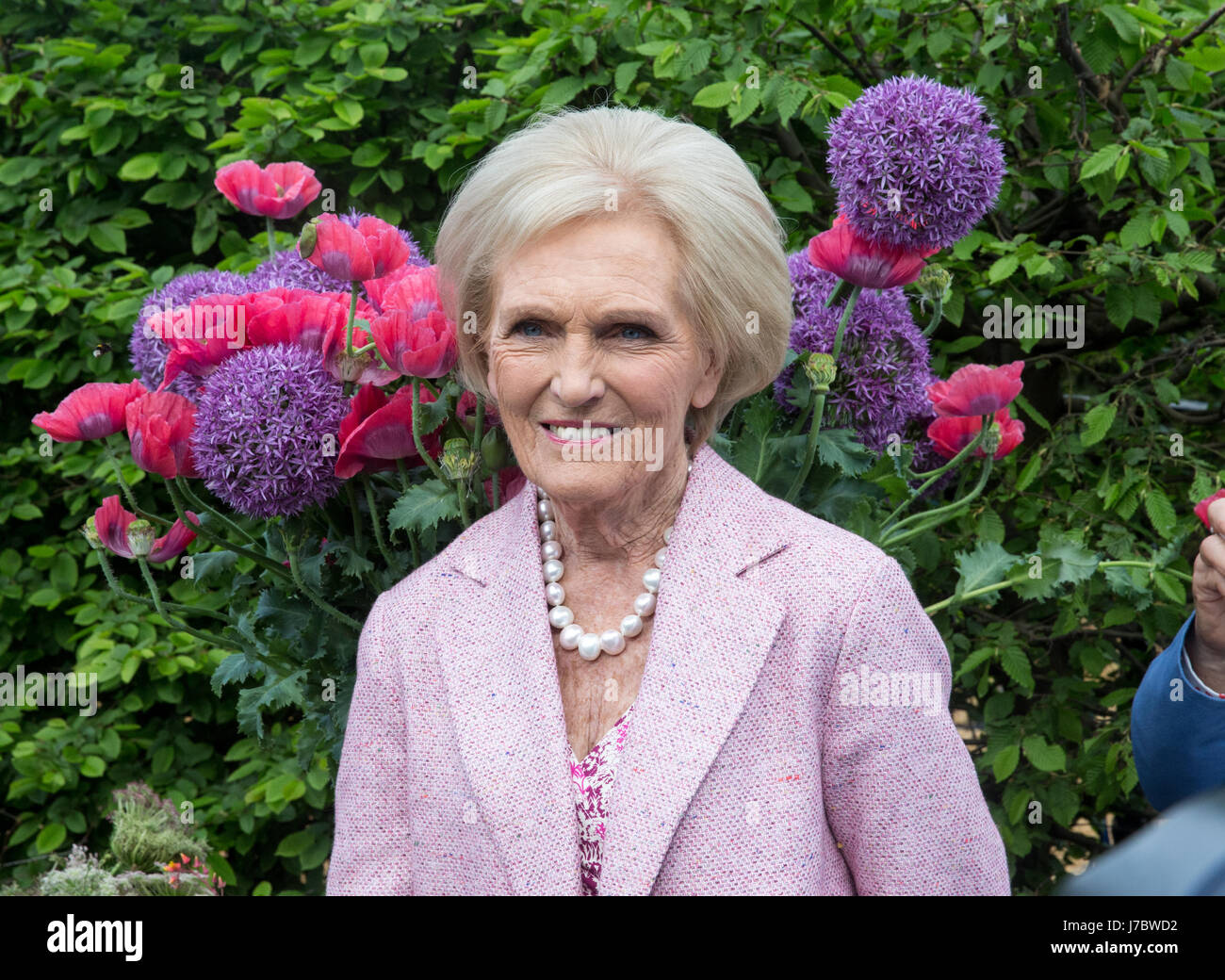 Cook and TV celebrity, Mary Berry, at the RHS Chelsea Flower Show 2017 Stock Photo