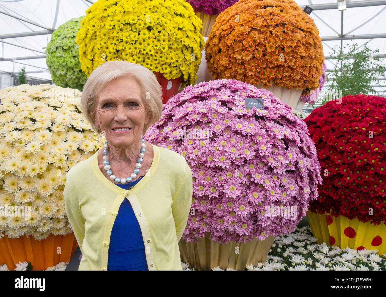 Cook and TV celebrity, Mary Berry, at the RHS Chelsea Flower Show 2017 Stock Photo