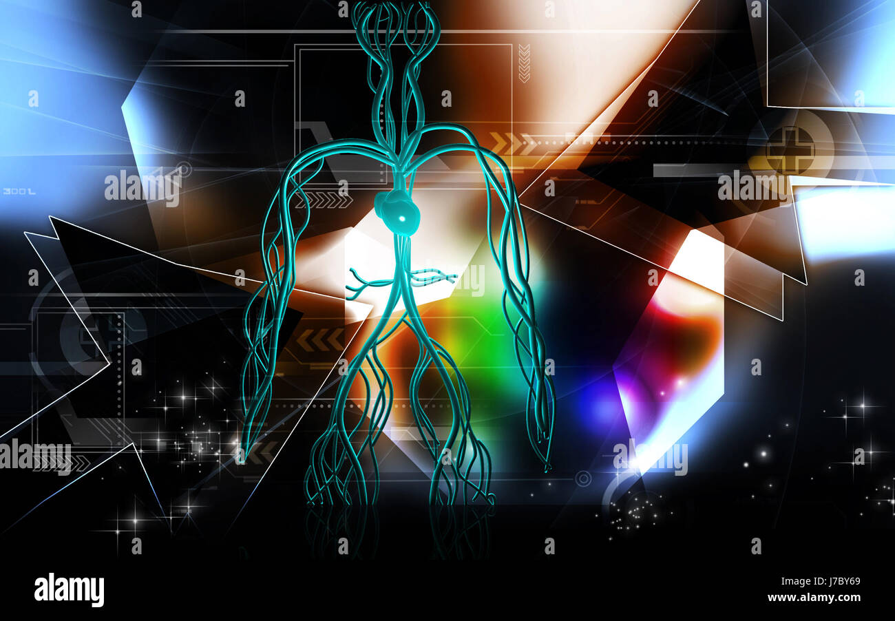 Circulation Graphics blue object education circulation graphics colour human human being ...