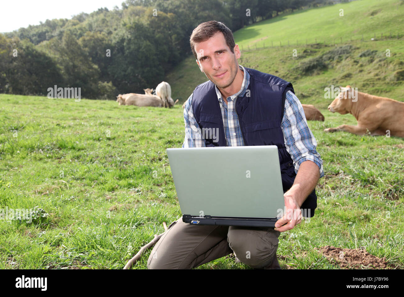 laptop notebook computers computer animals agriculture farming field