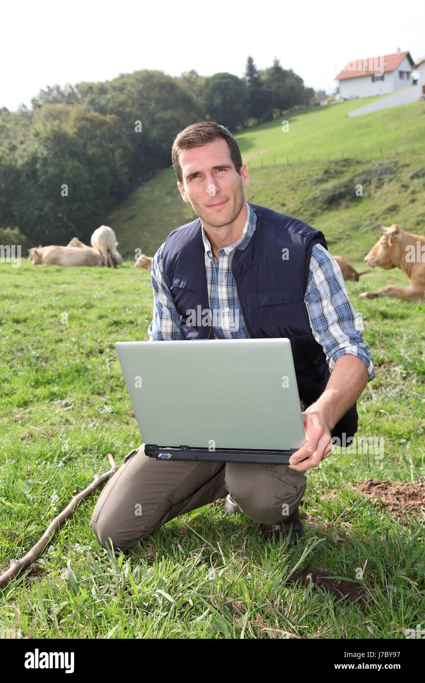 laptop notebook computers computer animals agriculture farming field