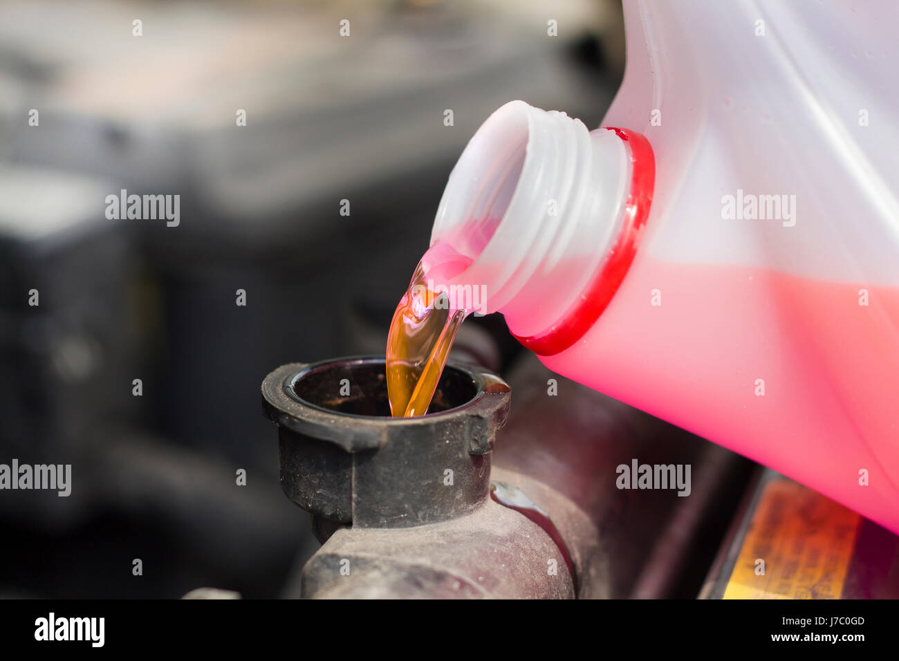 The mechanic pours the cooling fluid into the radiator spure. Car