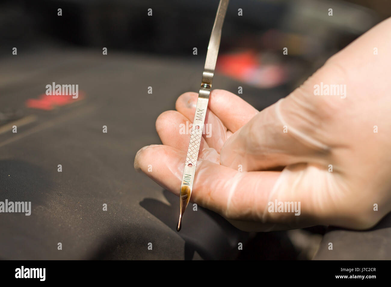 The man's hands in disposable gloves check the oil level in the engine. Stock Photo