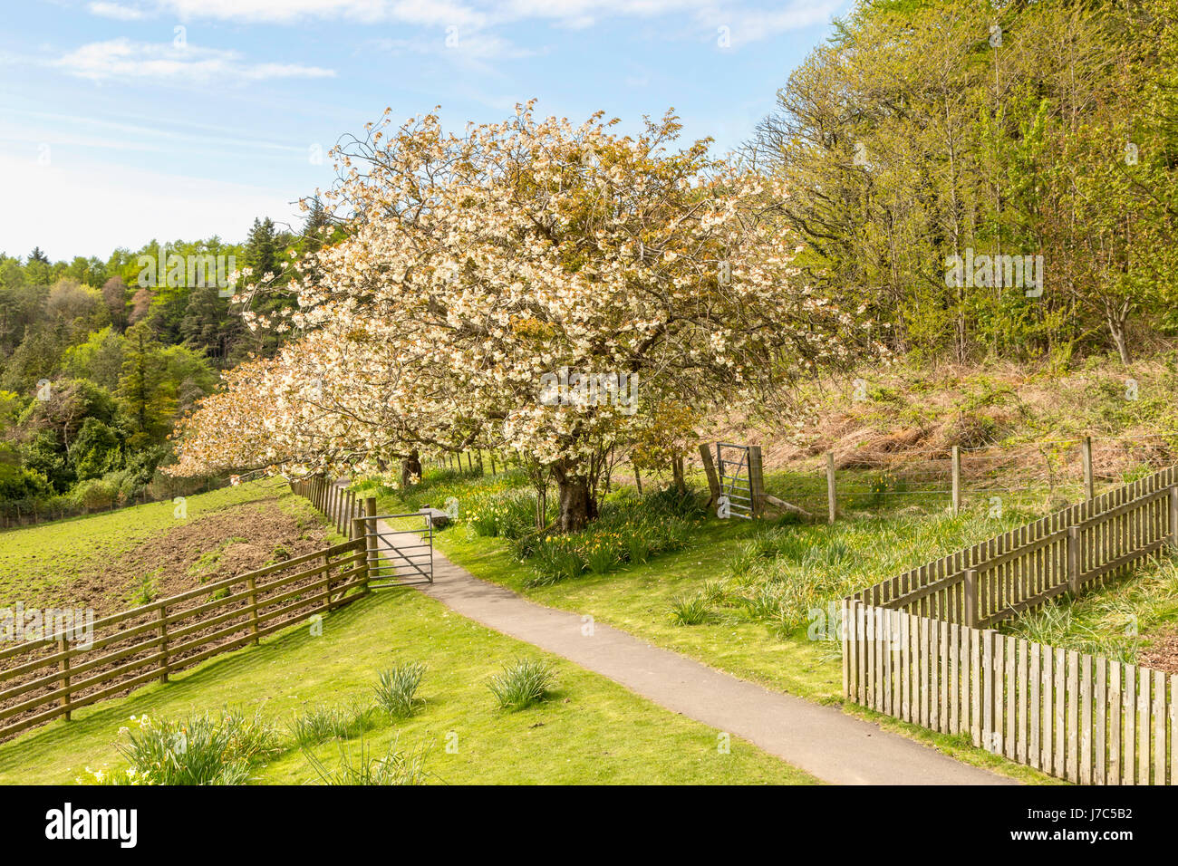 Melfort hires stock photography and images Alamy