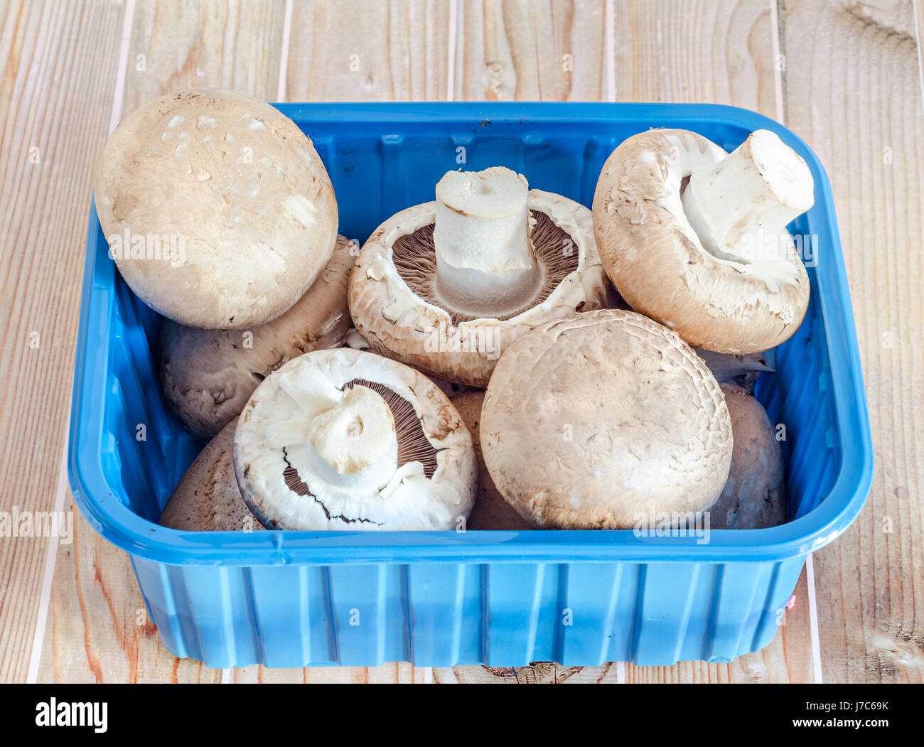 Tinder pack champignon