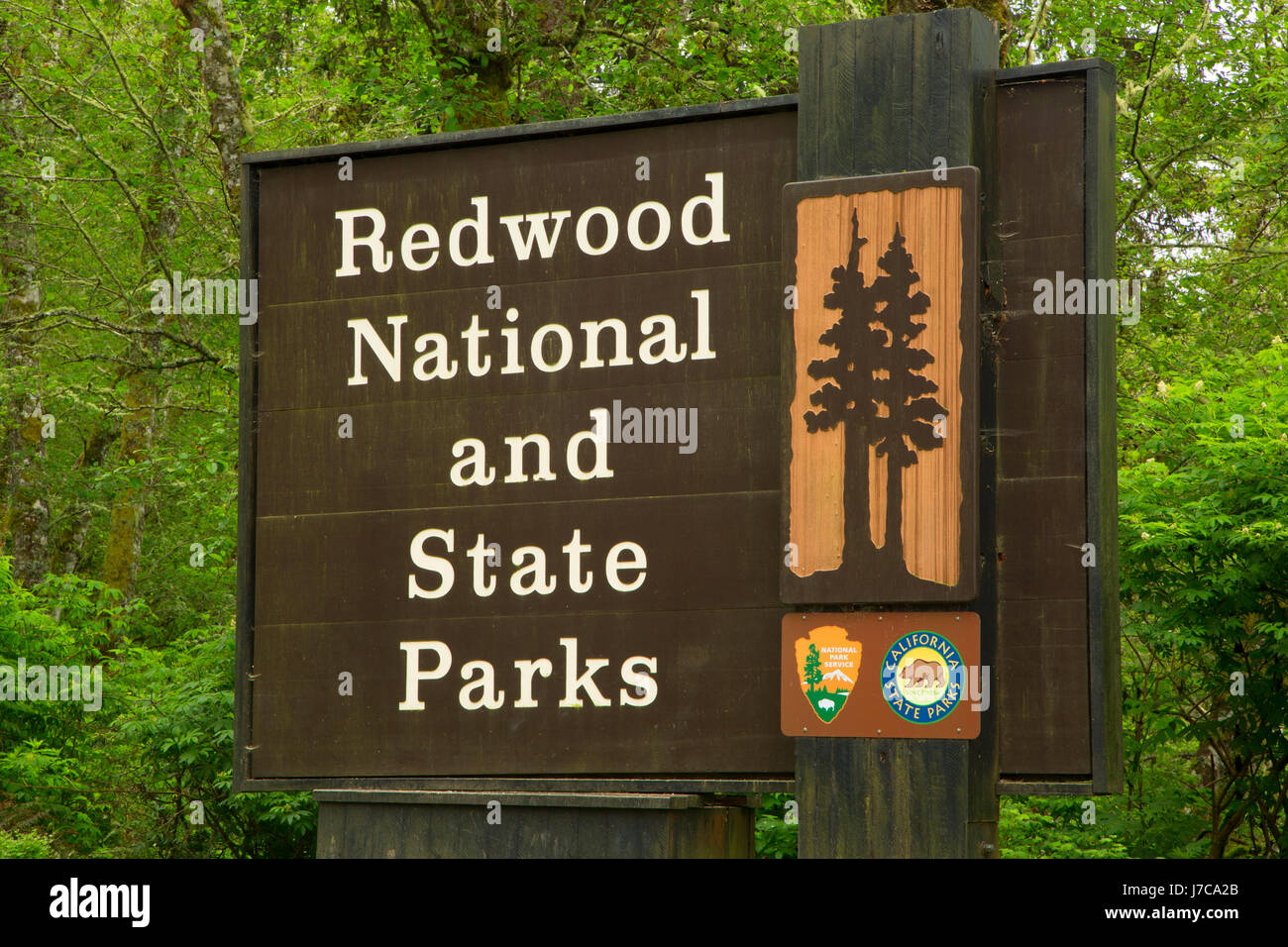 Entrance sign, Redwood National Park, California Stock Photo
