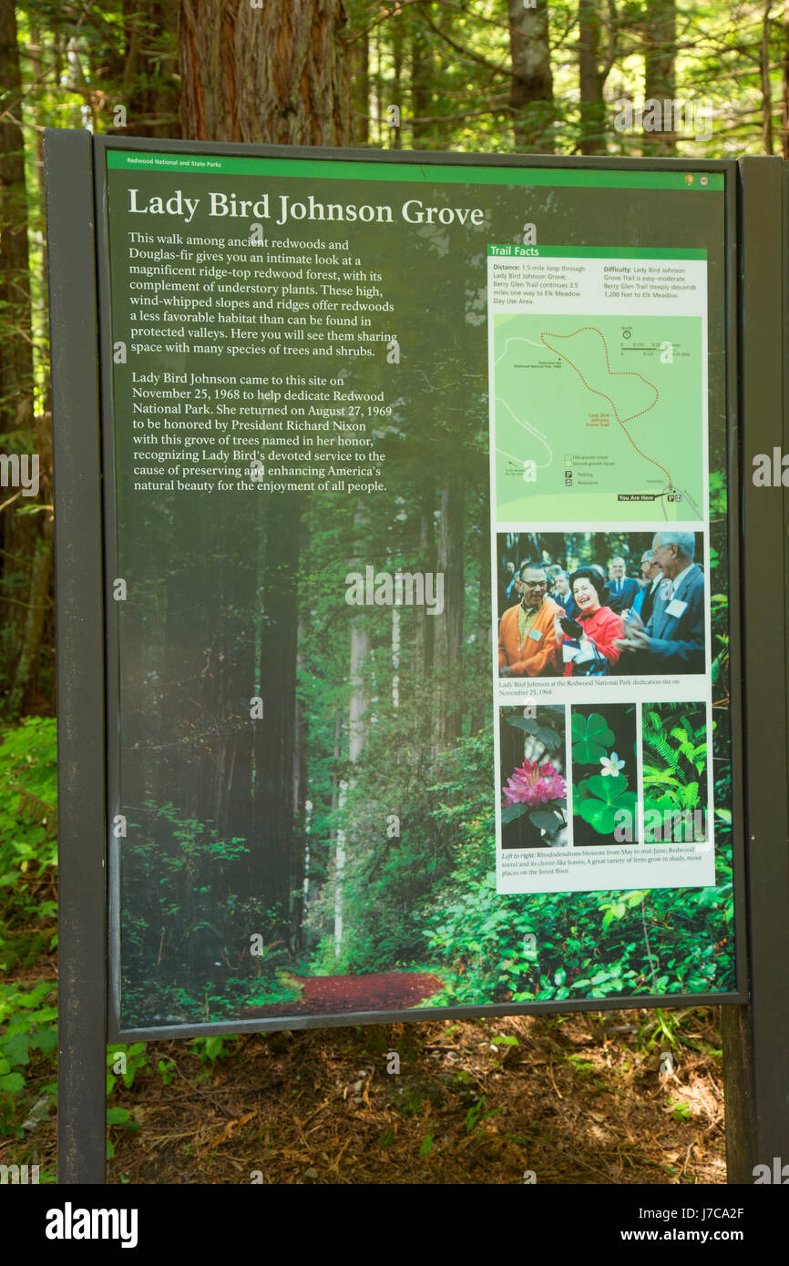 Interpretive Board At Lady Bird Johnson Grove Redwood National Park Stock Photo Alamy
