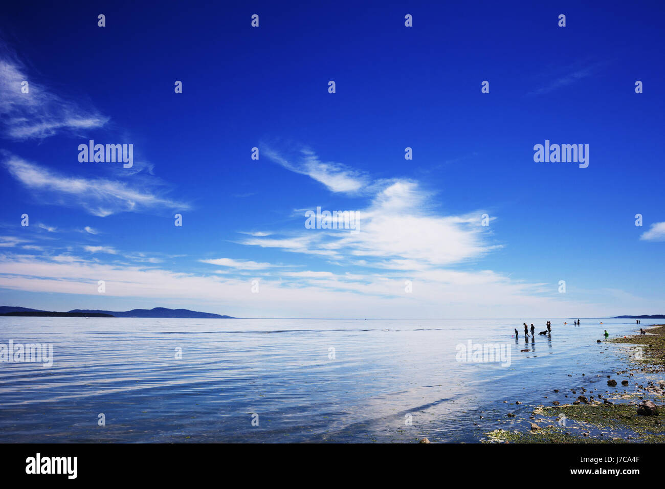 People playing in ocean, Island View Beach.  Victoria BC Canada Stock Photo