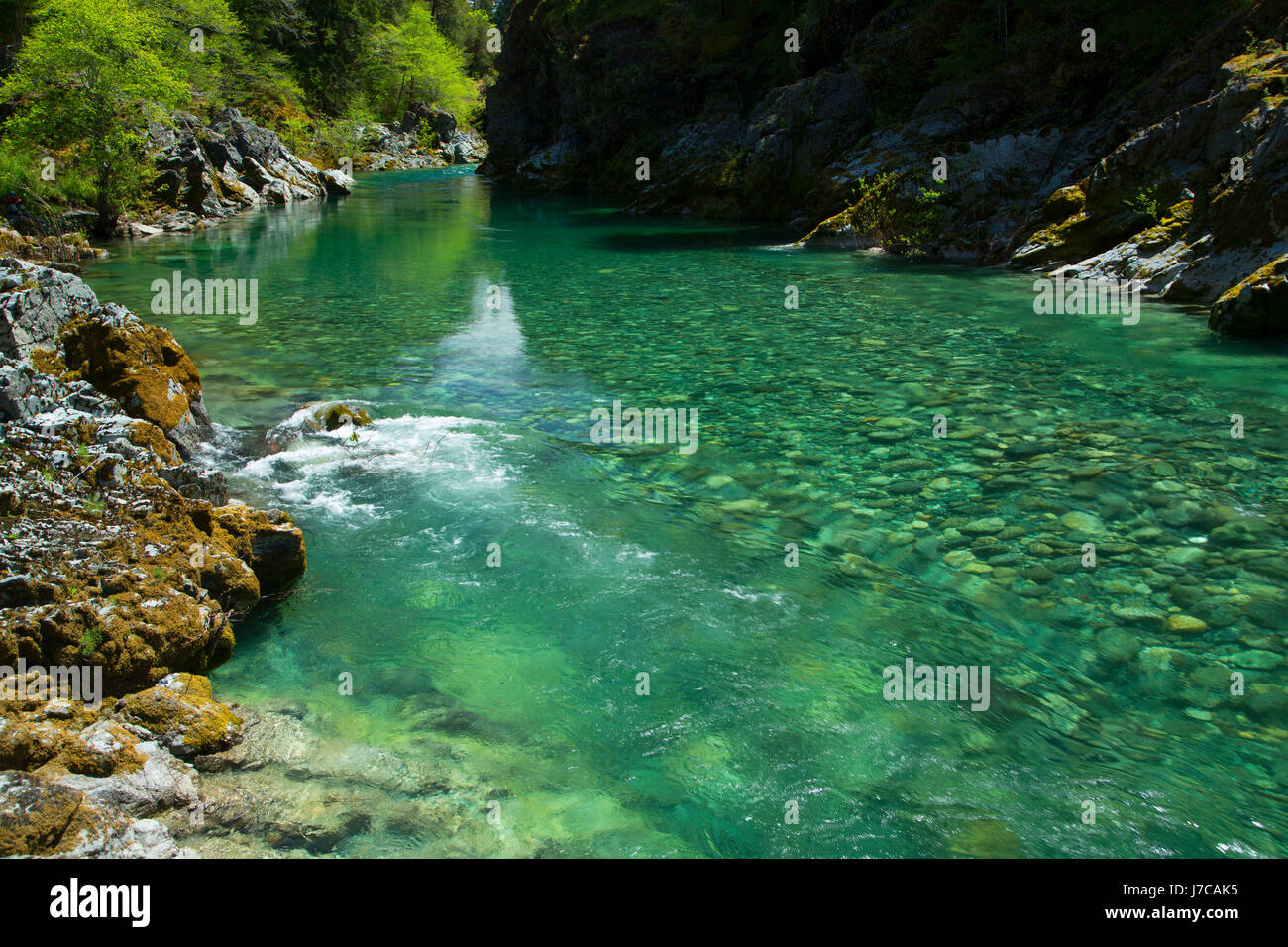Six Rivers National Forest California