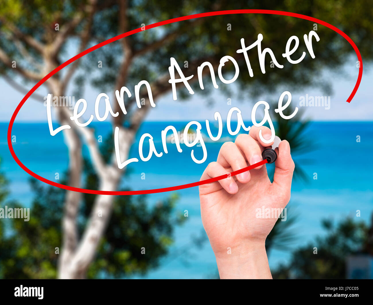 Man Hand writing Learn Another Language with black marker on visual ...