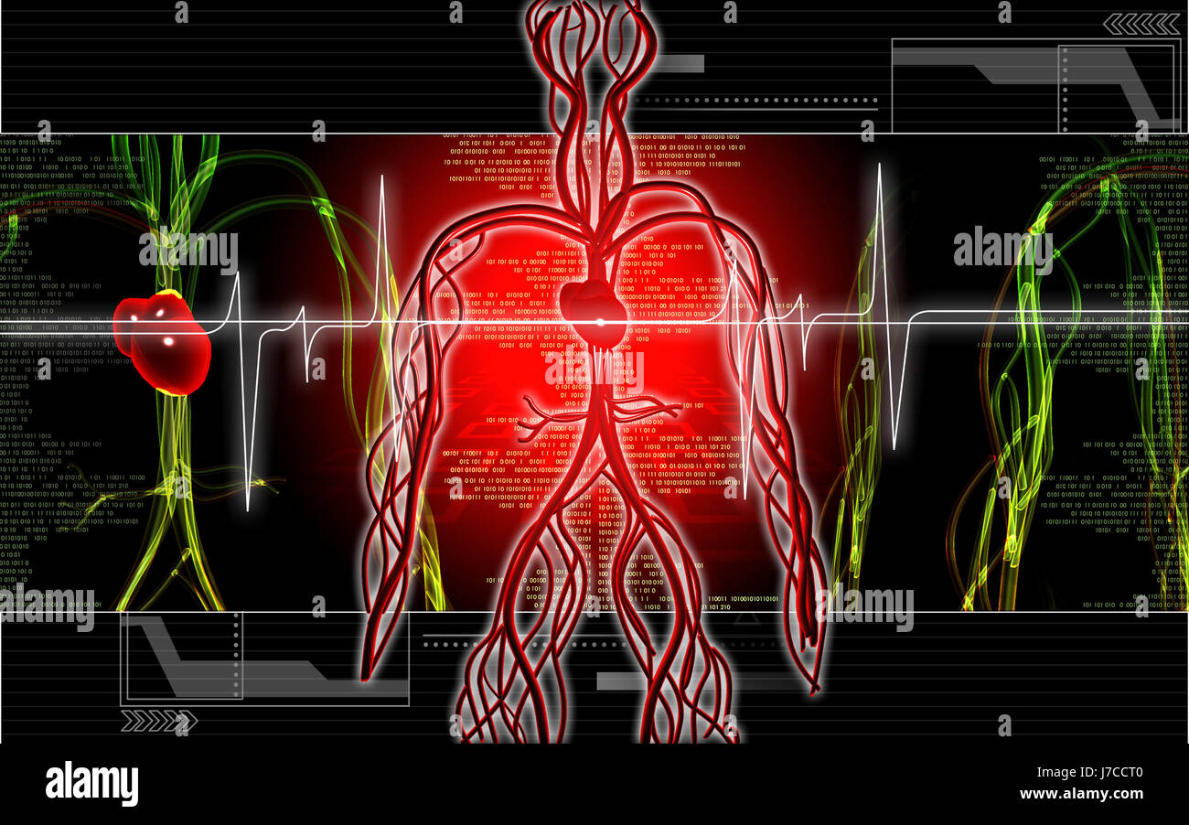 Circulation Graphics object education circulation graphics colour human human being Stock ...