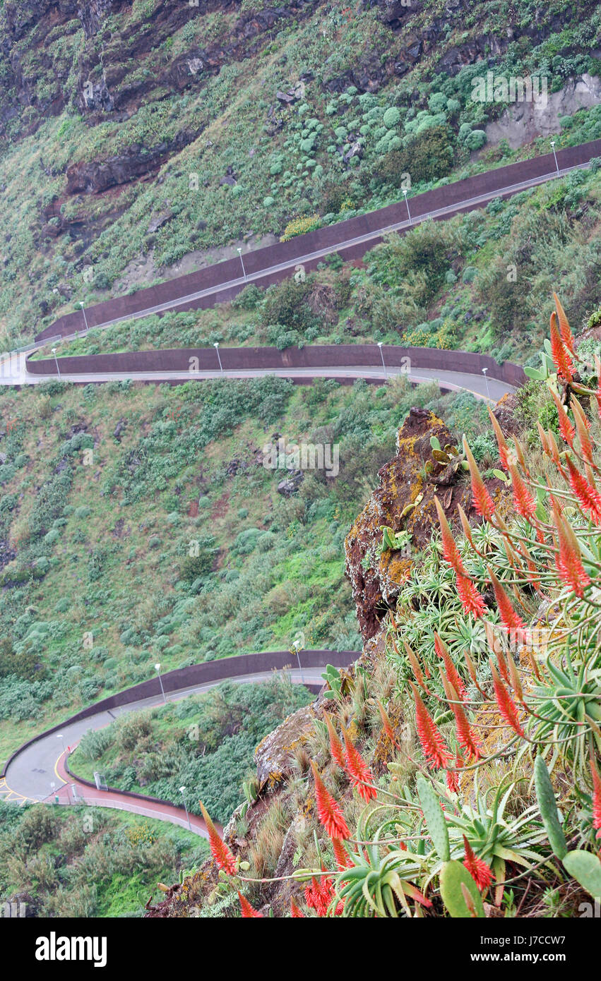 mountain road madeira aloe serpentines curves differential curvaceous mountain Stock Photo