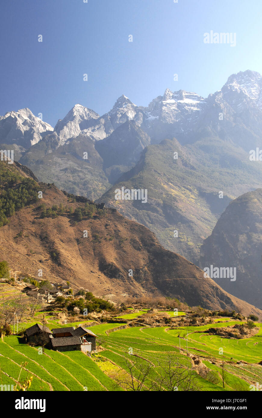 Rice farming china yangtze hi-res stock photography and images - Alamy