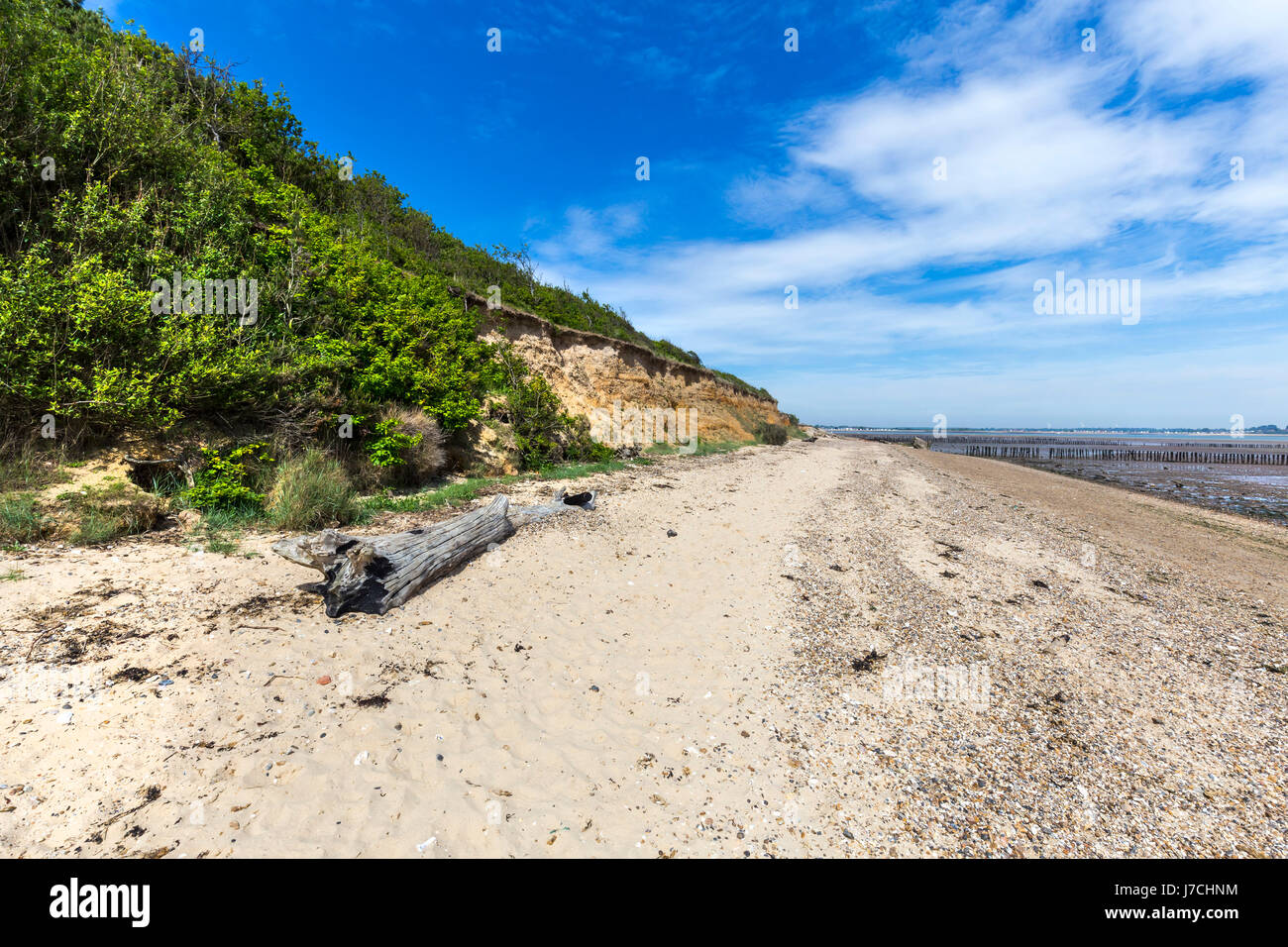 MERSEA BEACH NEAR CUDMORE GROVE COUNTRY PARK Stock Photo Alamy