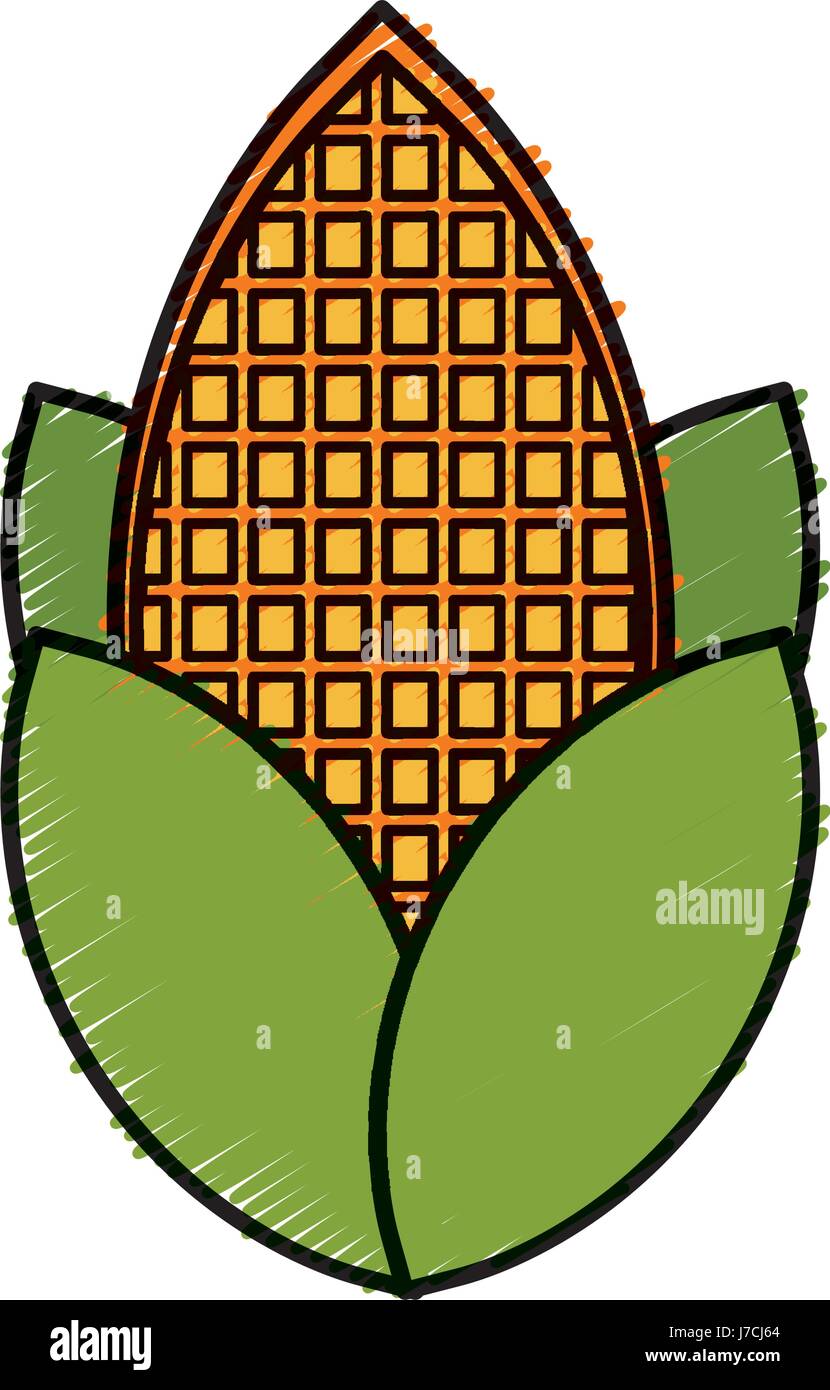 corn vegetable icon Stock Vector Image & Art - Alamy
