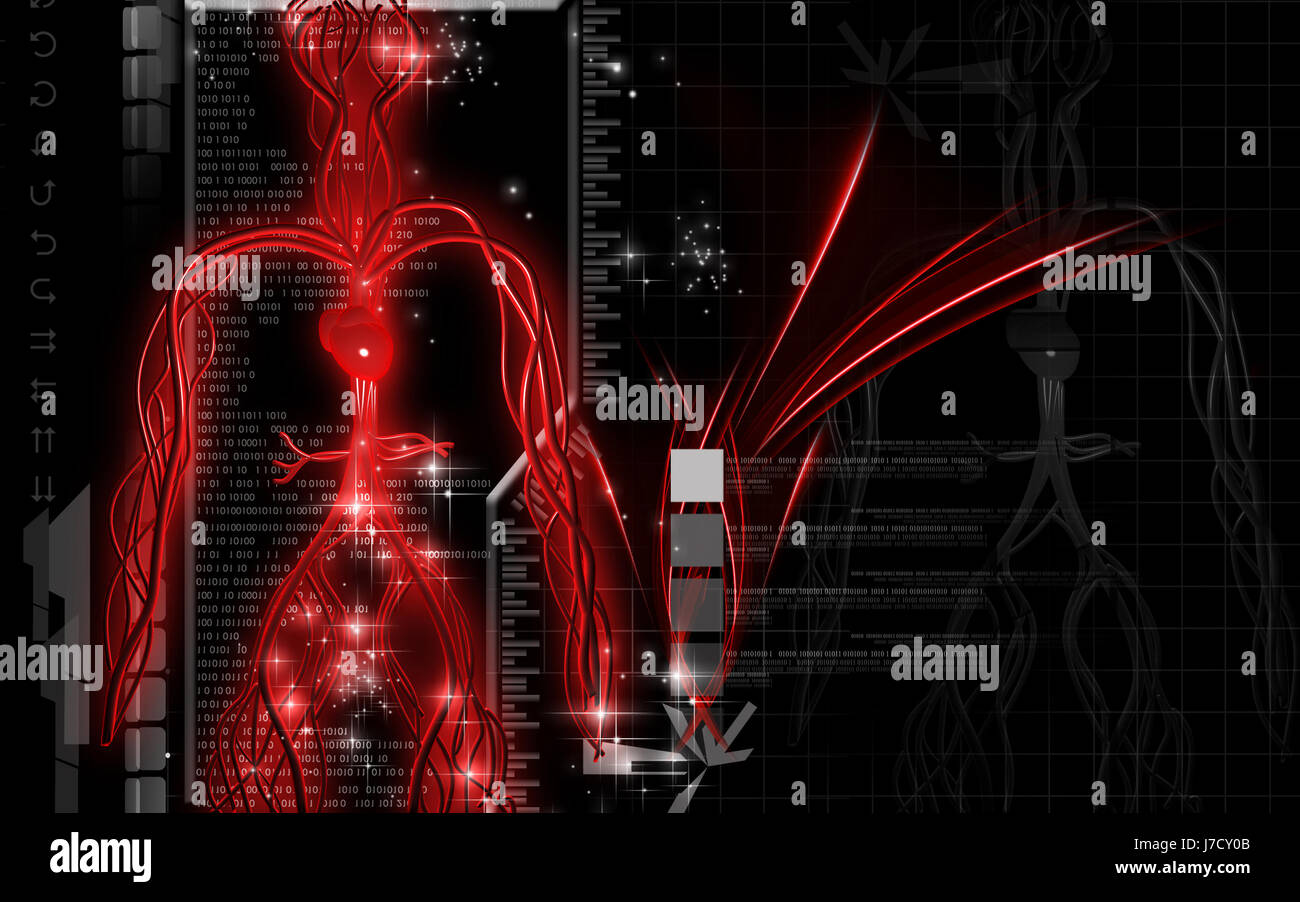 Object Education Circulation Graphics Colour Human Human Being Stock