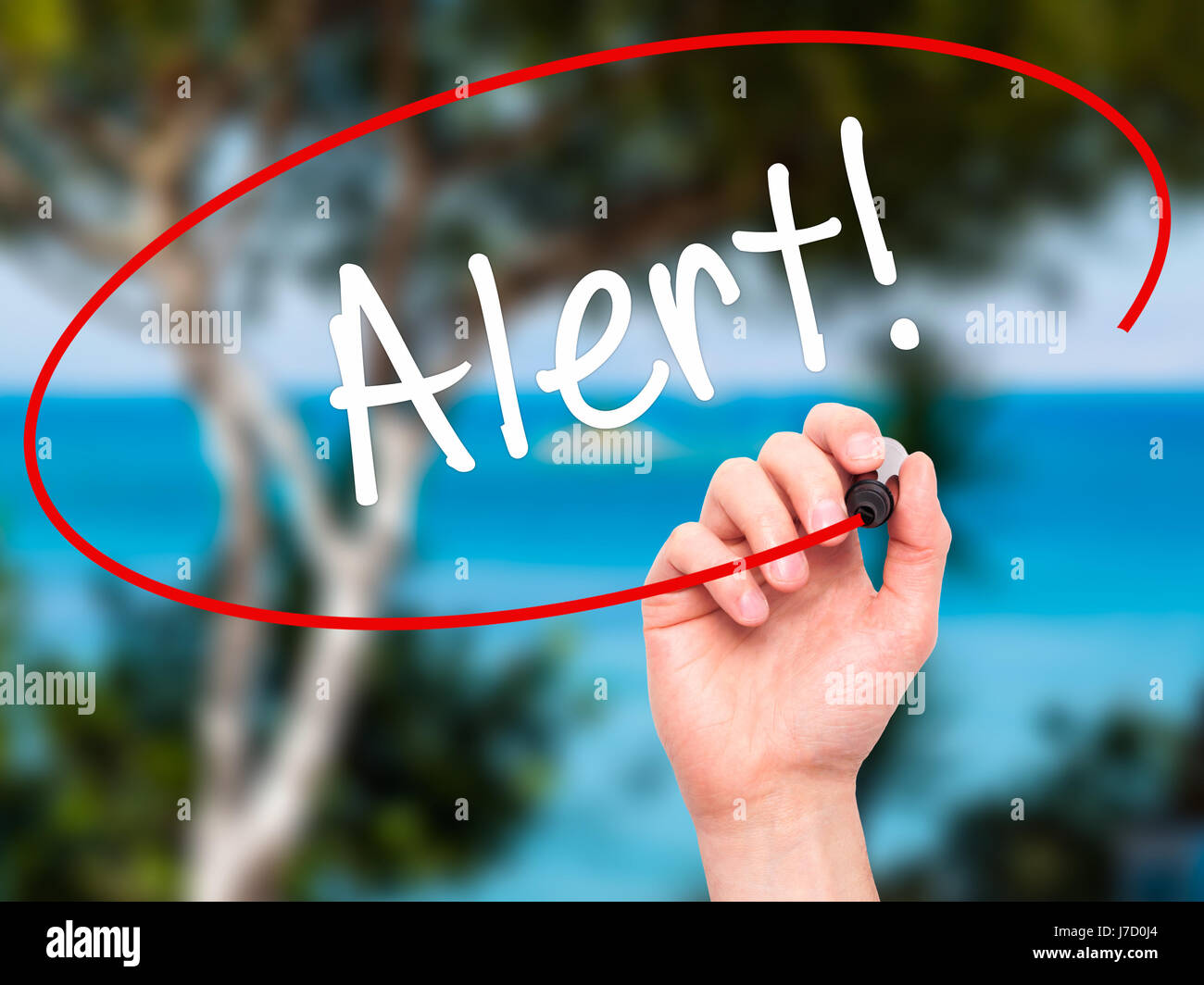Man Hand writing Alert! with black marker on visual screen. Isolated on ...