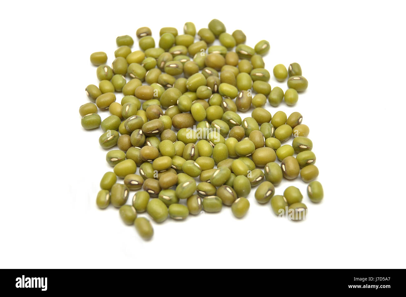 mung bean sprouts Stock Photo