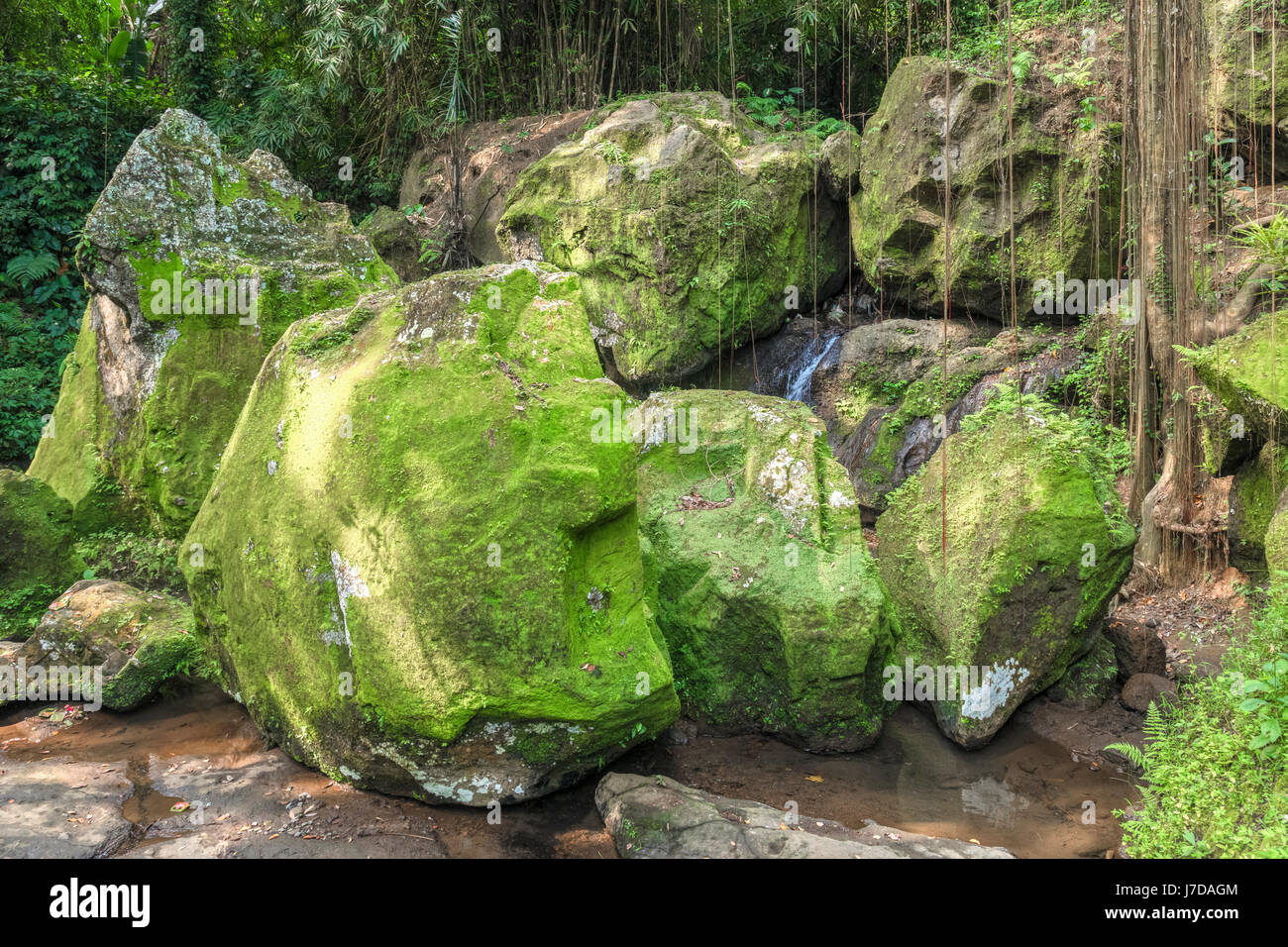 Goa Gajah, temple, Ubud, Bali, Indonesia, Asia Stock Photo