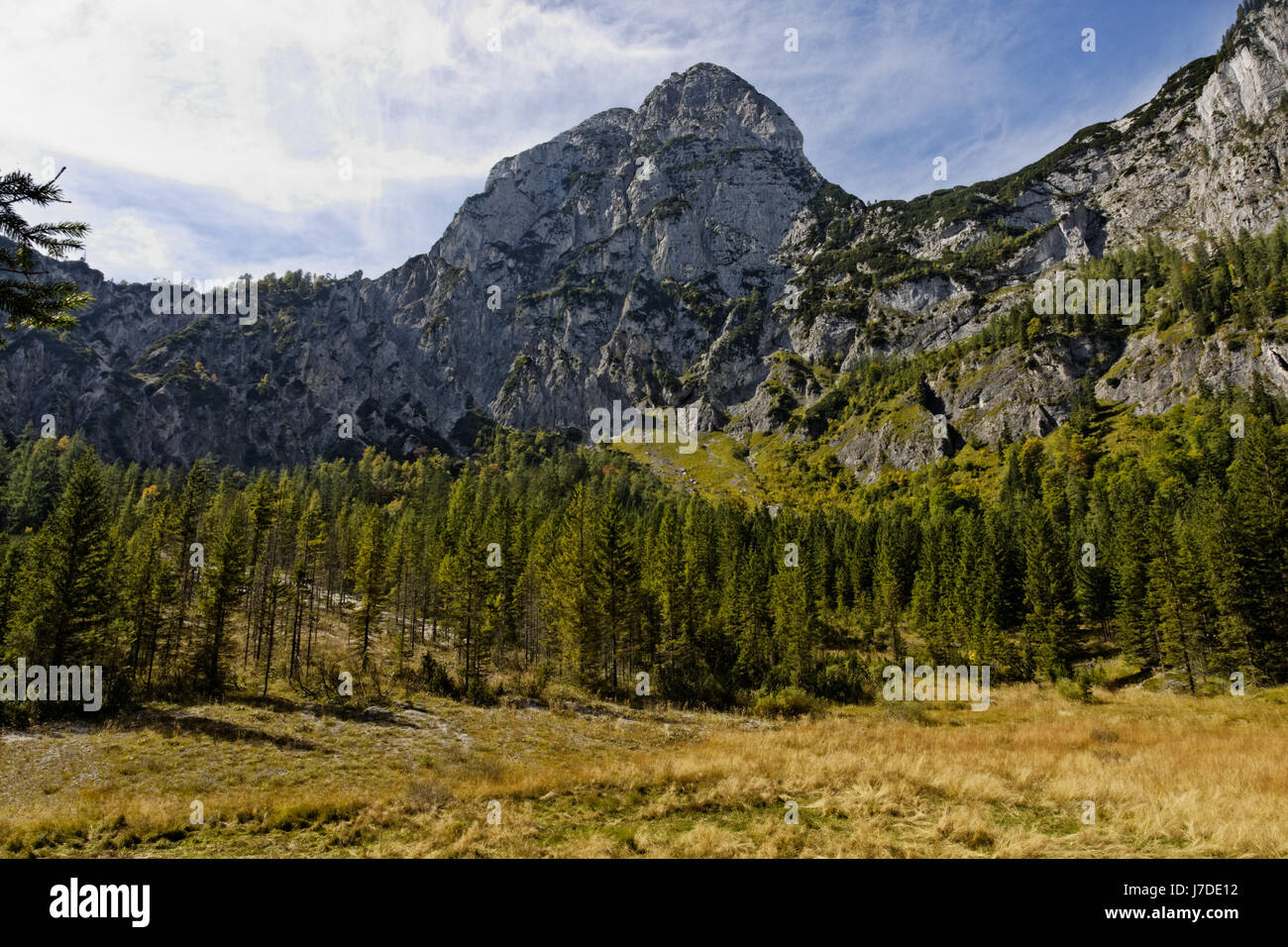 landscape at the halsalm,berchtesgaden national park,germany Stock Photo